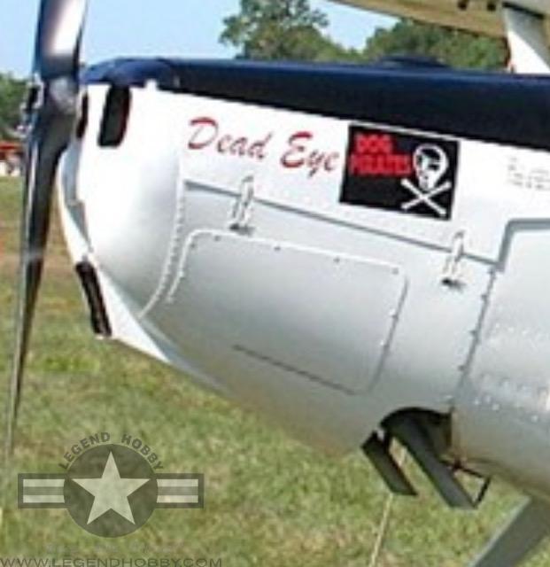 Cessna L-19/O-1A Bird Dog Dead Eye | 122