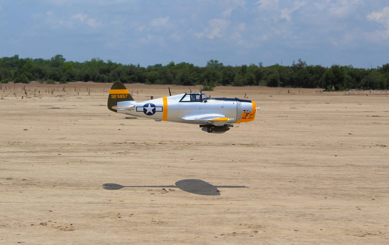 P-47 Thunderbolt Dan'l Boone | 81" | SEA306NDB from Seagull Models